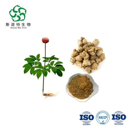 Panax Notoginseng Wurzel extrahieren 80%Notoginsenosid