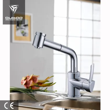 Kitchen Sink Mixer Faucet with Pull-Out Shower