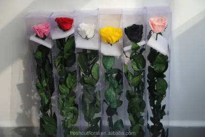 Wholesale Yellow Preserved Roses with Stem - Rainbow