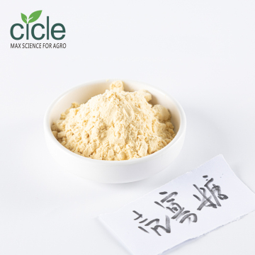 Bioactive Chitosan Oligosaccharide with Enhanced Solubility
