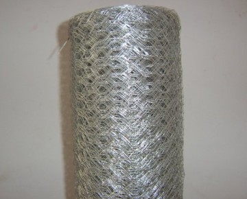 Hot Dipped Galvanized Hexagonal Wire Mesh