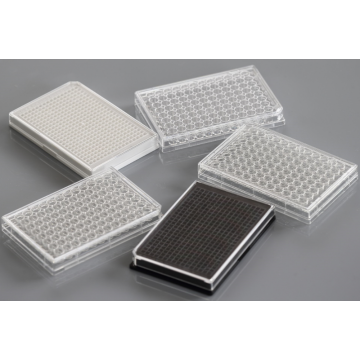 TC-Treated 384 well White Cell Culture Plates