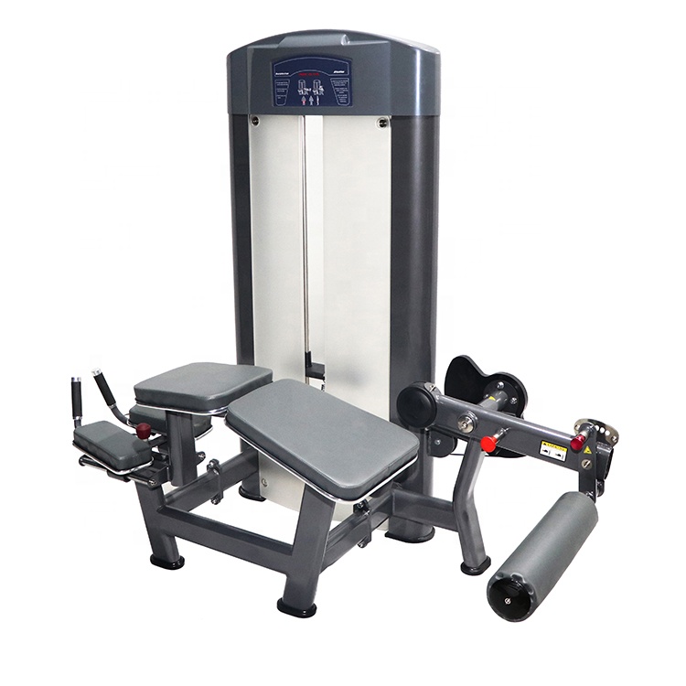 Fitness Precor Gym Equipment sujette la machine à boucles