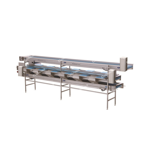 Multi-Layer Sorting And Picking Conveyor for vegetable