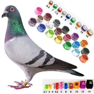 Custom Aluminum Bird Rings for Parrots and Pigeons - Parrot Accessories