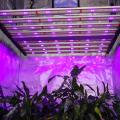 640W LED Grow Light With UV IR Bar