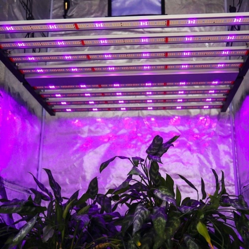 640W LED Grow Light With UV IR Bar China Manufacturer