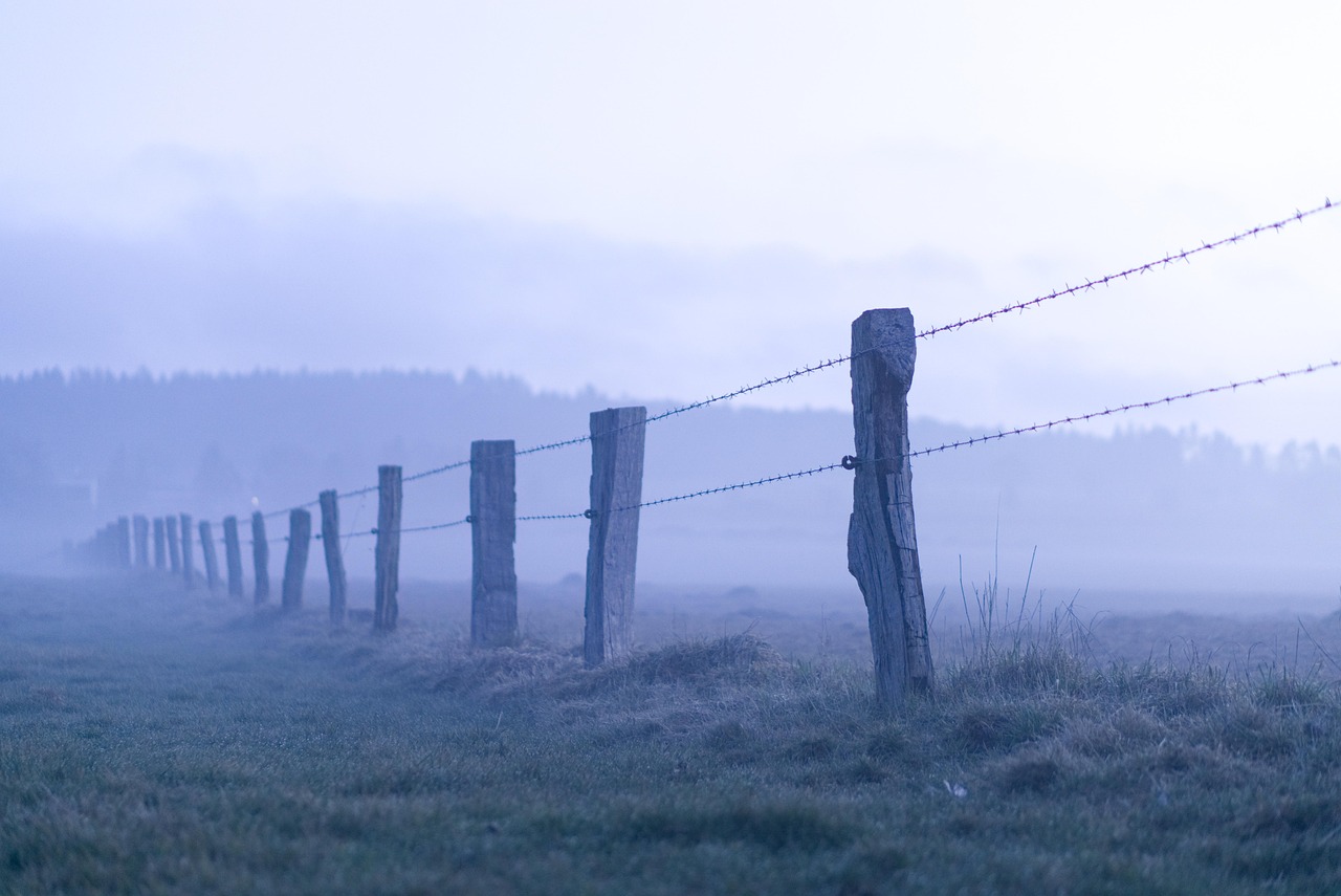 Cattle fence5