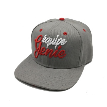 3d embroidered snapback cap