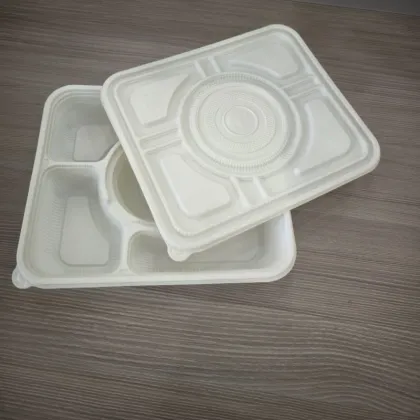 Biodegradable Cornstarch Bagasse Fast Food Packaging Container