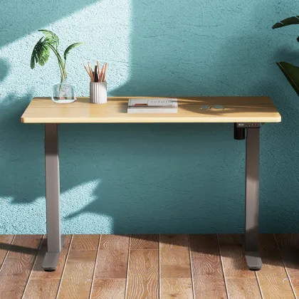 Standing Desk Electric ErgonomicOffice Computer Desk Adjustable Modern Desk