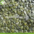 Hete verkoop Gedroogde GWS Pumpkin Seed Kernels