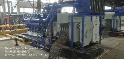 700kW Renewable Energy Biogas Generator