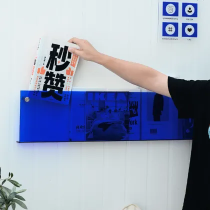 Klein Blue Acrylic Bookshelf: A Minimalist Style Bookstore Decor and Wall Bookshelf