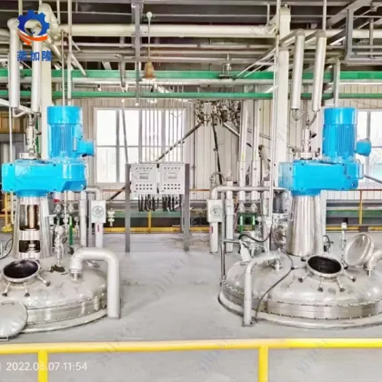 GMP Vaccum Ribbon Drying Machine