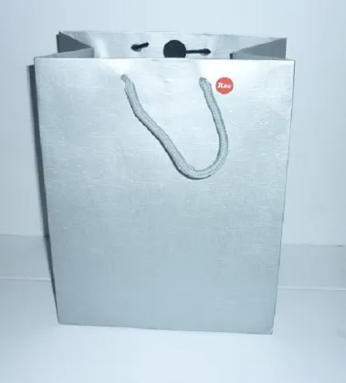 Creative Music Flashing Bag for Unique Gifts