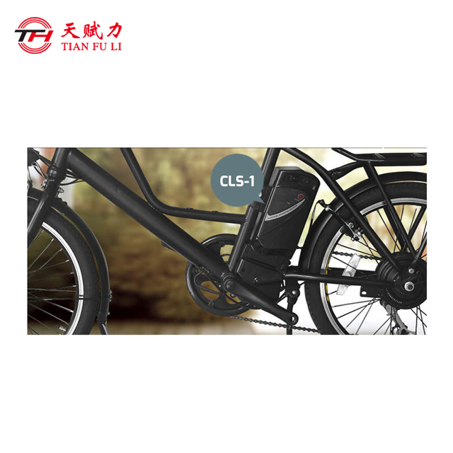 E Bike Lithium Battery