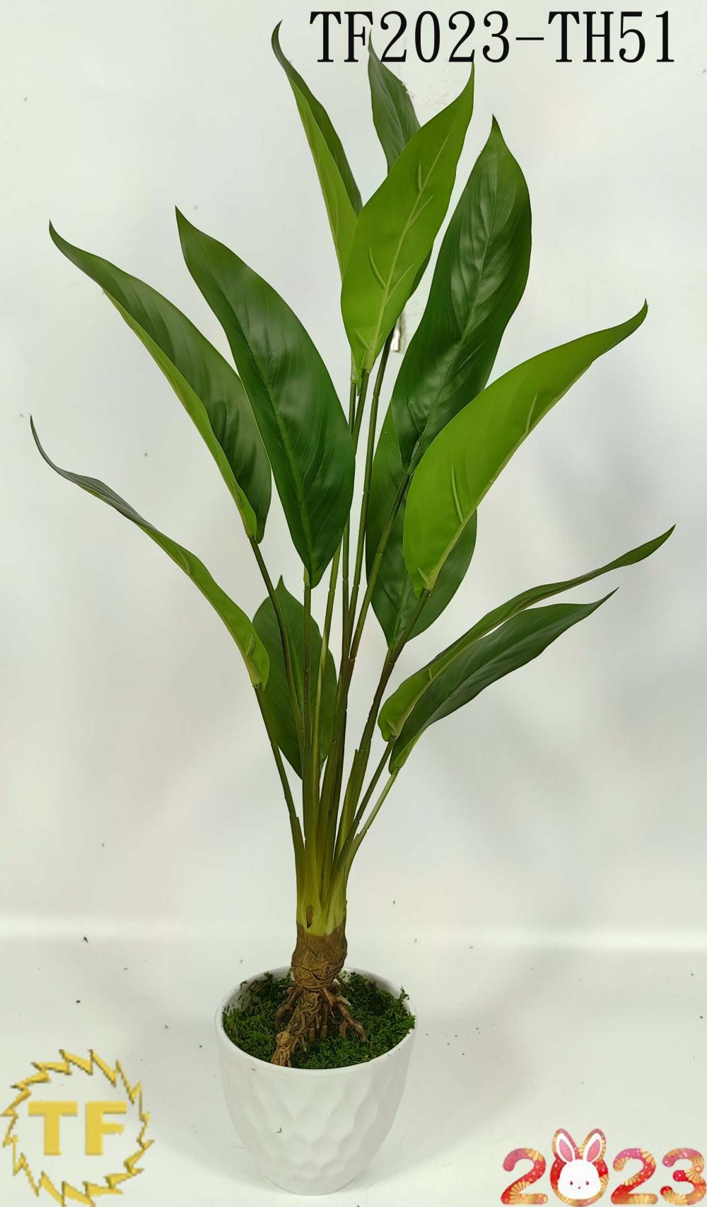 64cm bird of paradise leaf x 12 with plastic Pot