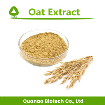 Dietary Supplement Oat Extract Avena Sativa Extract Powder