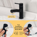 Matte Black Pull Out Wash Basin Sink Tap