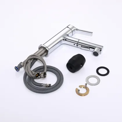 Bathroom Pull Out Faucet