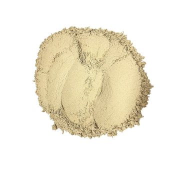 Top Quality 100% Pure Ad Button Mushroom Powder