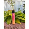 POCO BESAR 5000 Puffs Perangkat pod vape sekali pakai