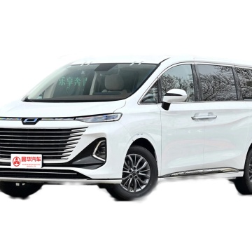New Pentium M9 Large MPV with 48V Light Hybrid System, Luxury Type, Euro VI Standards, Left Hand Drive: Comprehensive Information and Features