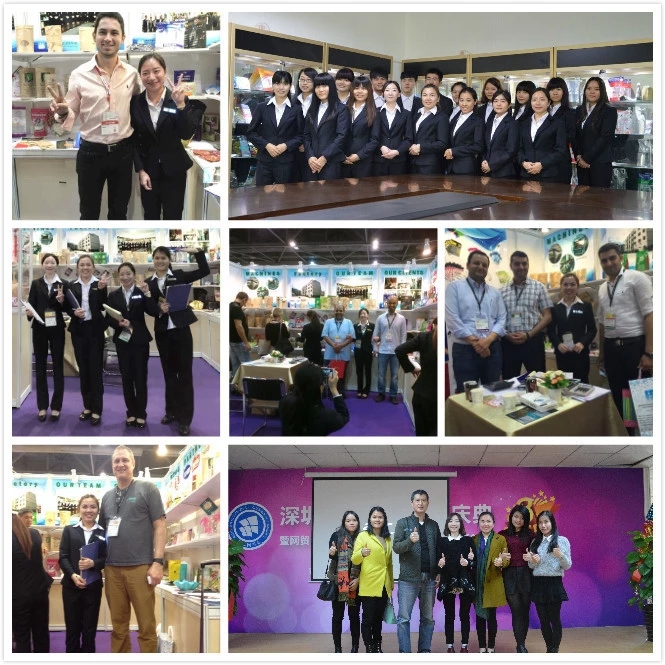 our team.webp