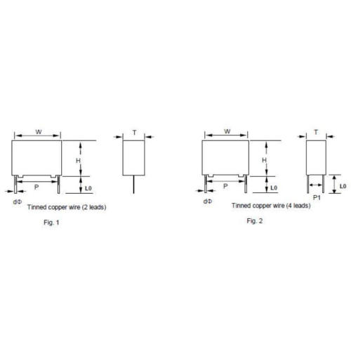 C2B 396J250VDC Metallized Polypropylene Film Capacitor