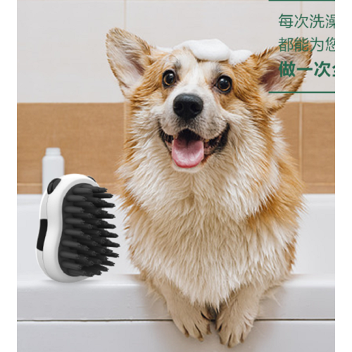 2022 fashion own style of pet massage brush