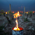 Gegen Frostfrostschutzkerzen für den frühen Frühling