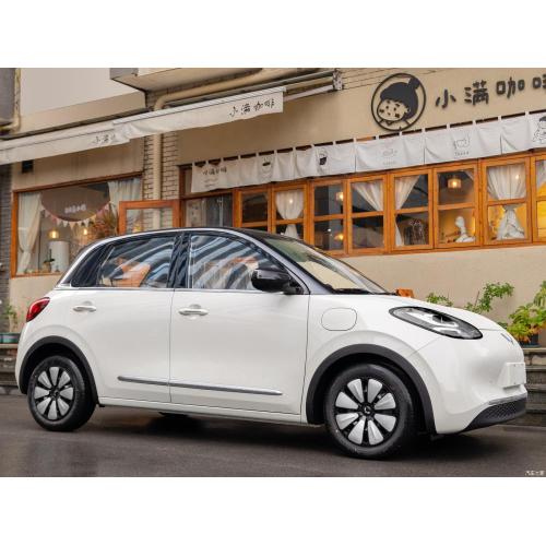 Wuling Binguo Passenger Car