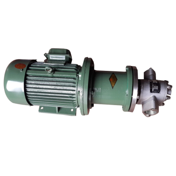 Cast Iron Magnetic Drive Transmission Gear Oil Pump