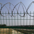 Low price hot dipped galvanized razor barbed wire