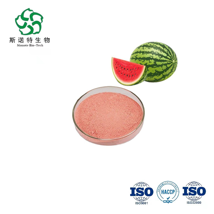 Großhandel getrocknetes Wassermelonenpulver