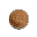 Organic Green Tea Extract Powder bulk