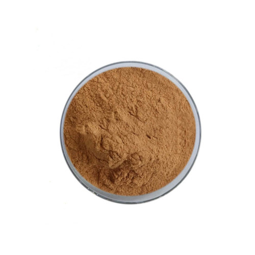 Organic Green Tea Extract Powder