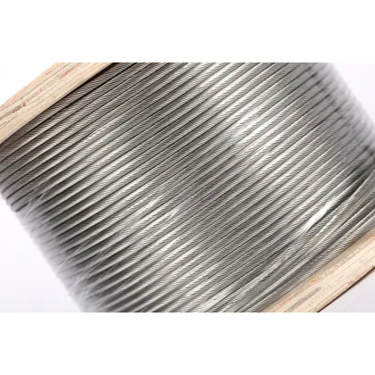 Stainless steel wire rope single strand rope