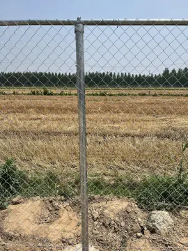 Electro Galvanized Chain Link Fence 55mm