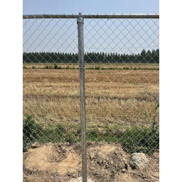 Electro Galvanized Chain Link Fence 55mm