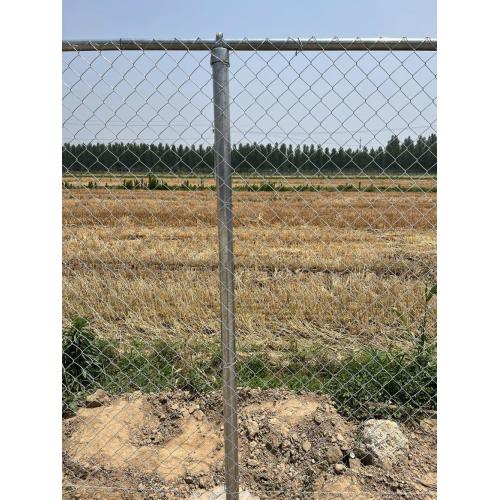 Fence di collegamento a catena galvanizzata elettro 55 mm