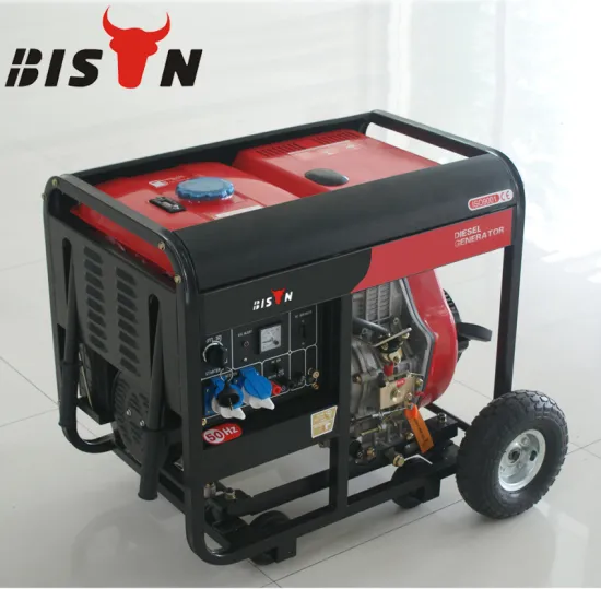 Bison China Zhejiang Super Silent Engine Starter 3000 Watt Dynamo Generator Parts Sound Proof Diesel Generator