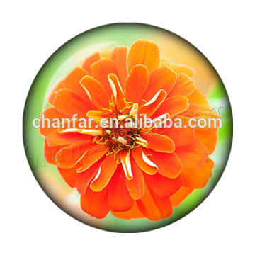 2014 Cheap sale metal surround glass snap buttons jewelry wholesale (12mm,18mm)