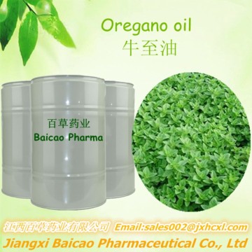 Pure Oregano Oil /origanum Oil manufactory