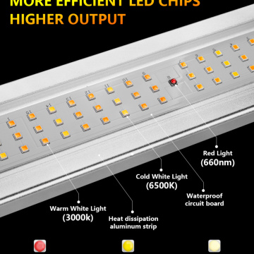 640W Samsung LED 성장 조명 컨트롤러