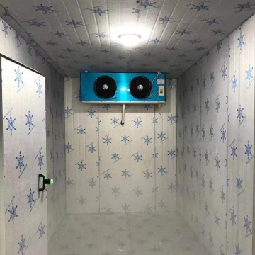 Mini Walk-In Cooler Freezer: Small Cold Storage Room Price for Warehouse Refrigeration Unit