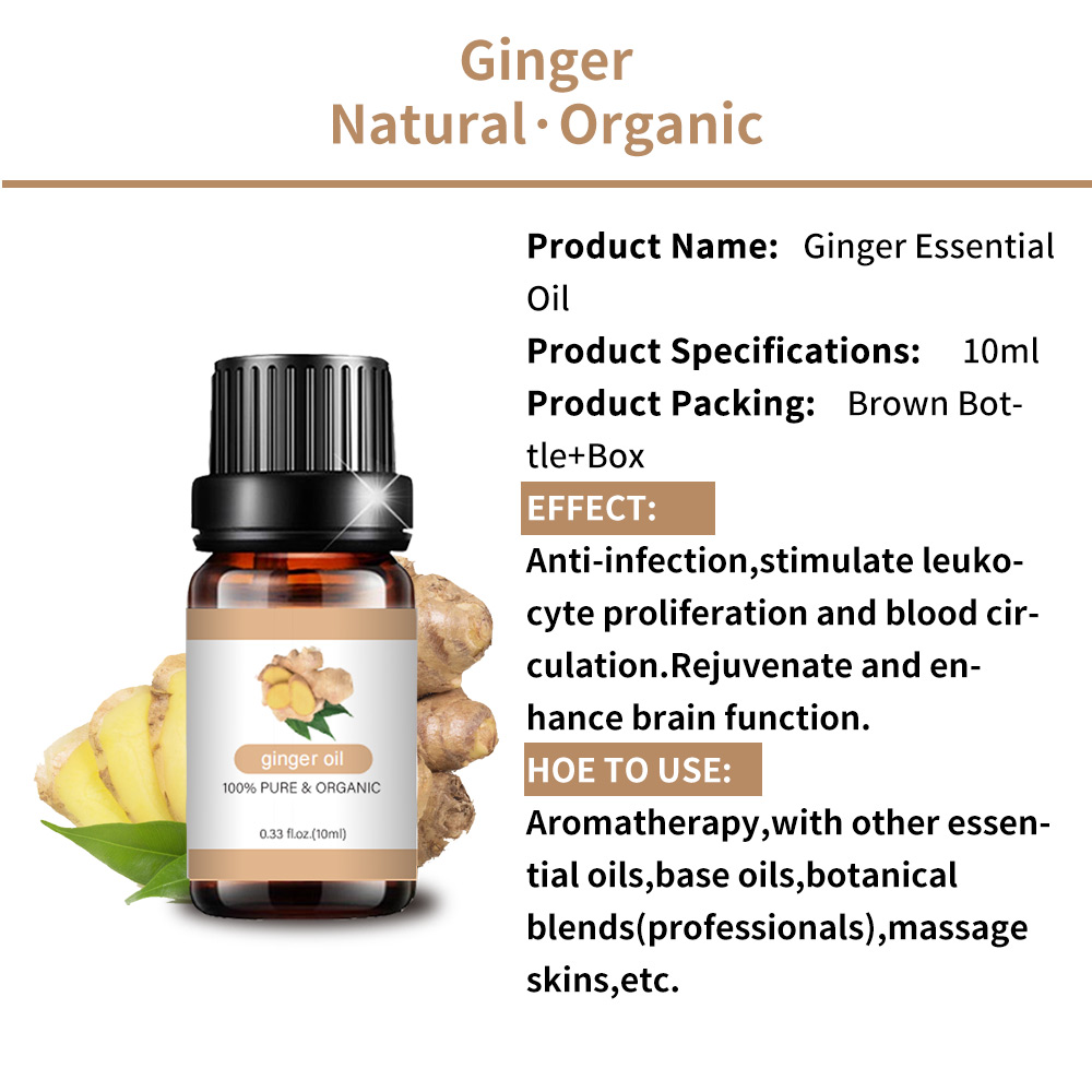 Organic Herbal Custom Anti Hair Loss Ginger Oil