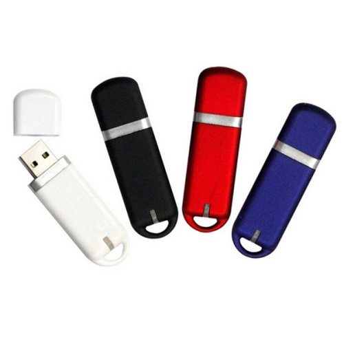 Printed Custom Logo Chic Flash Drive