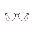 Fashion Custom Women TR90 Optical Frame Eye Glasses